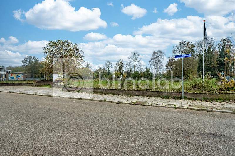 Hondenspeeltuin-2