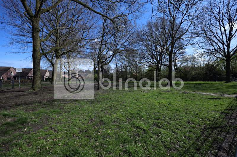 Hondenweide-Europastraat
