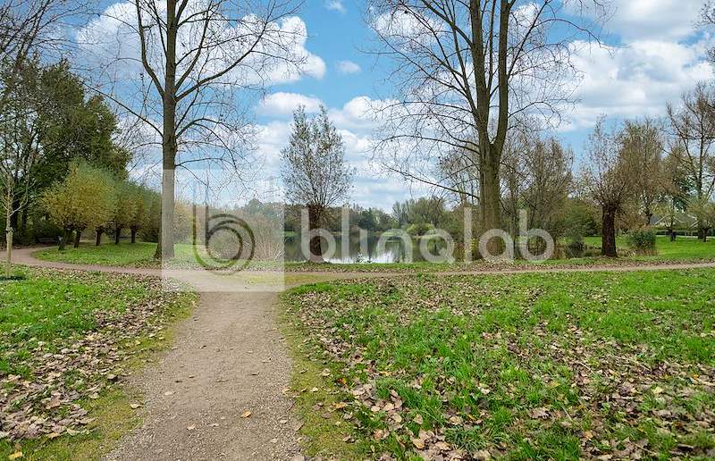 Hooilandvijver-1