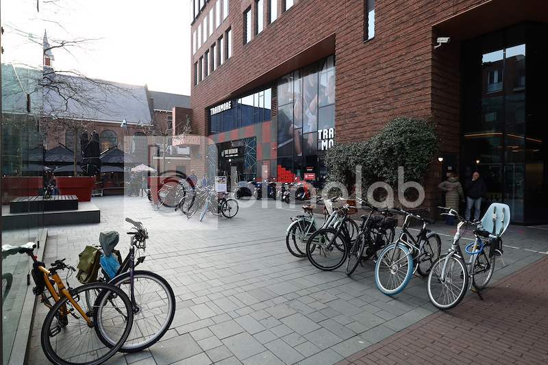 Hortusplein