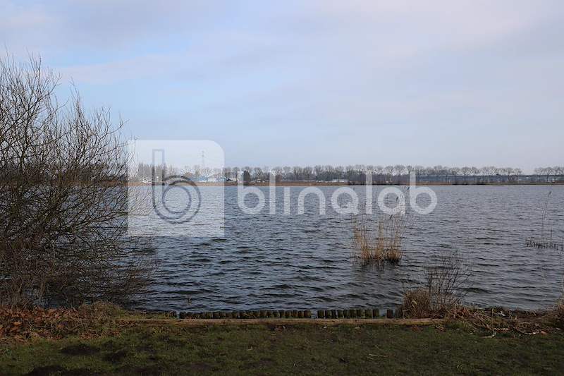 IMG_4424