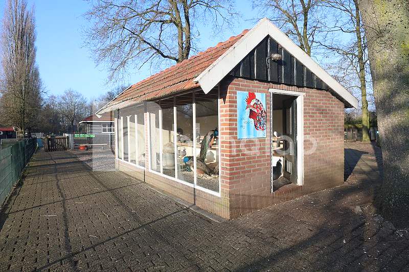 Kinderboerderij-noord_2