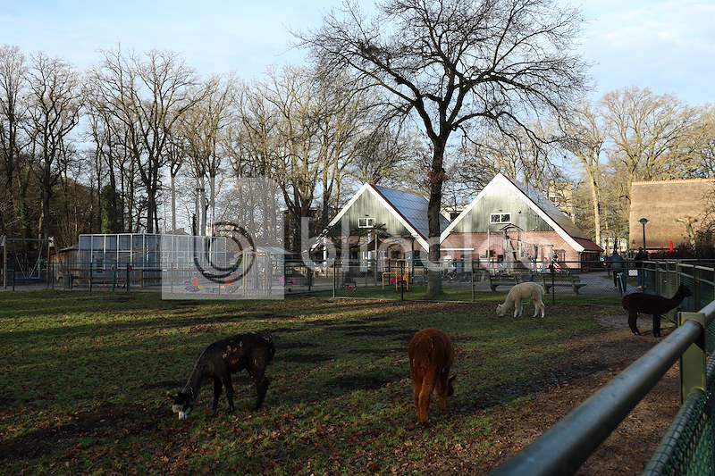 Kinderboerderij_3