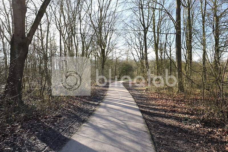 Klimparkstreekbos_enkhuizen-20
