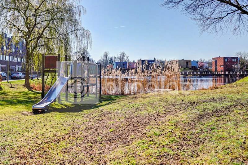 Klimtoestel-en-vijver-Vederkruidlaaan