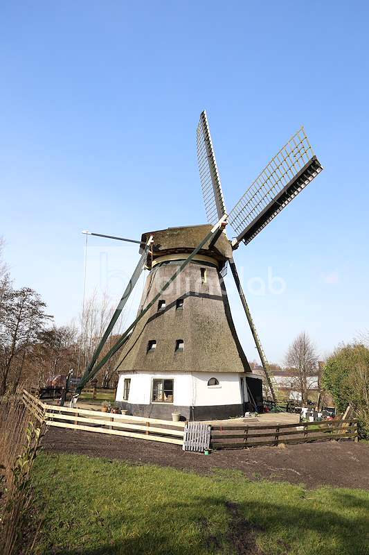 Molen-Mr.-Jac