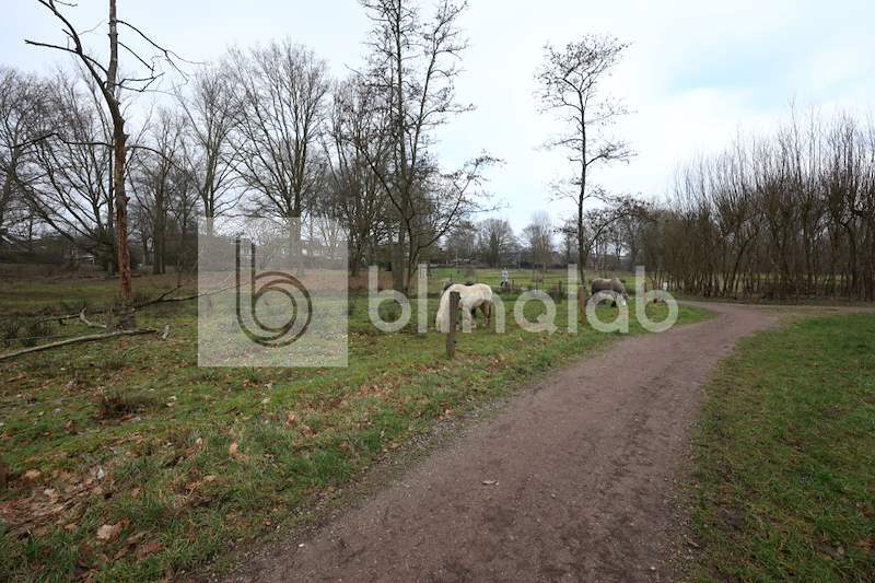 Mozartpark_2