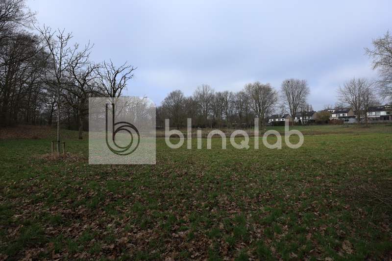 Mozartpark_5