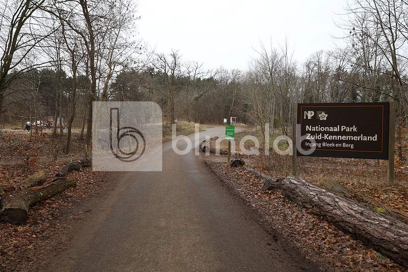 Nationaal-park-Zuid-Kennemerland-1