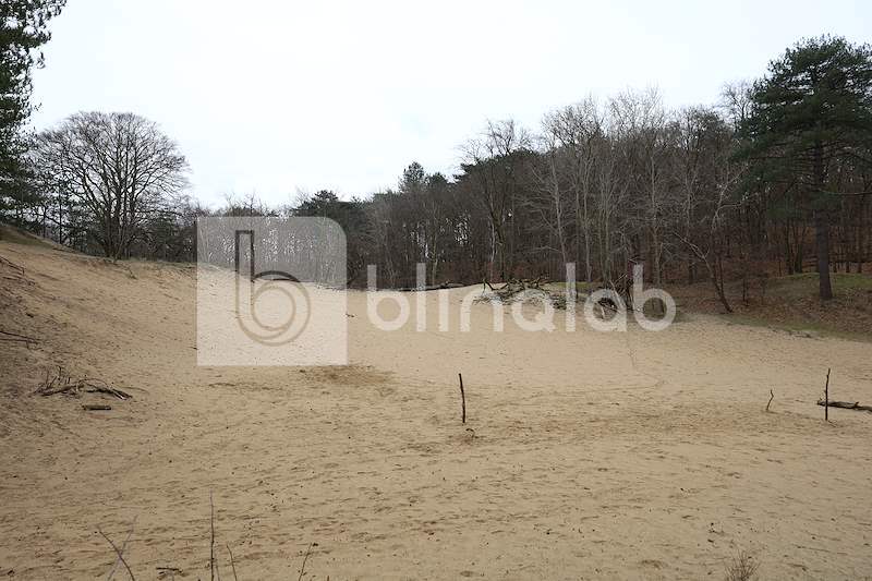Nationaal-park-Zuid-Kennemerland-3