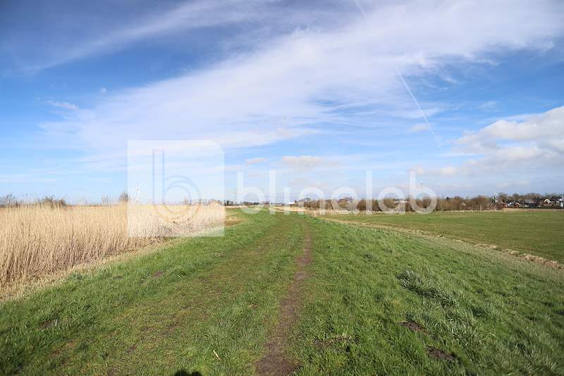Natuurgebied-Waarddijk-HeerhugowaardVerlaat-Waarland-1