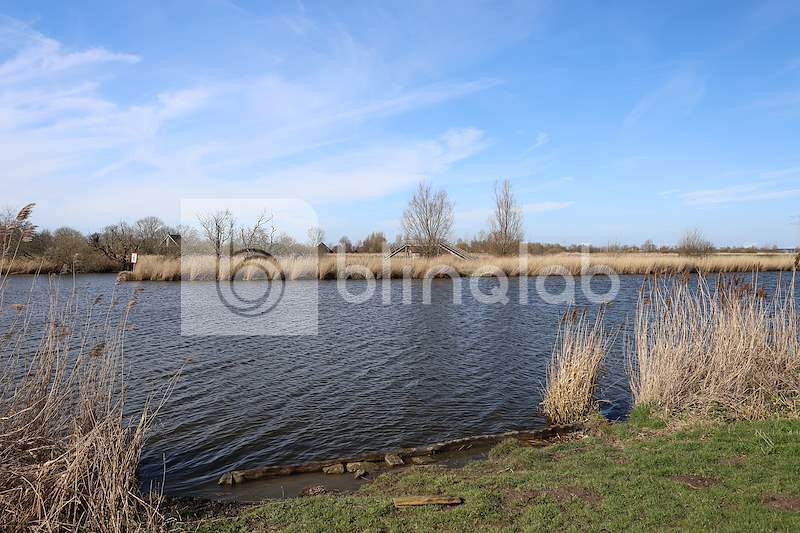 Natuurgebied-Waarddijk-HeerhugowaardVerlaat-Waarland-5