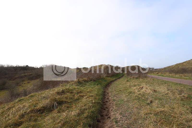 NoordHollands-Duinreservaat-Egmond-aan-Zee-2