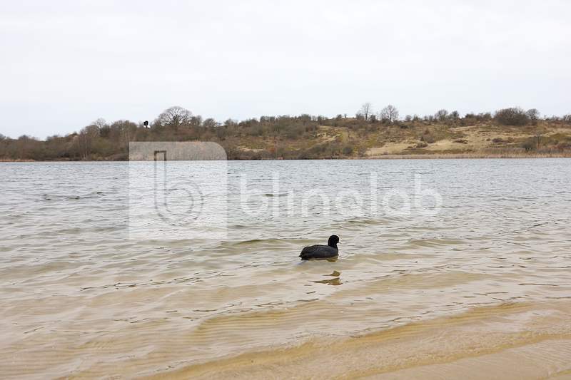 Oosterplas-3