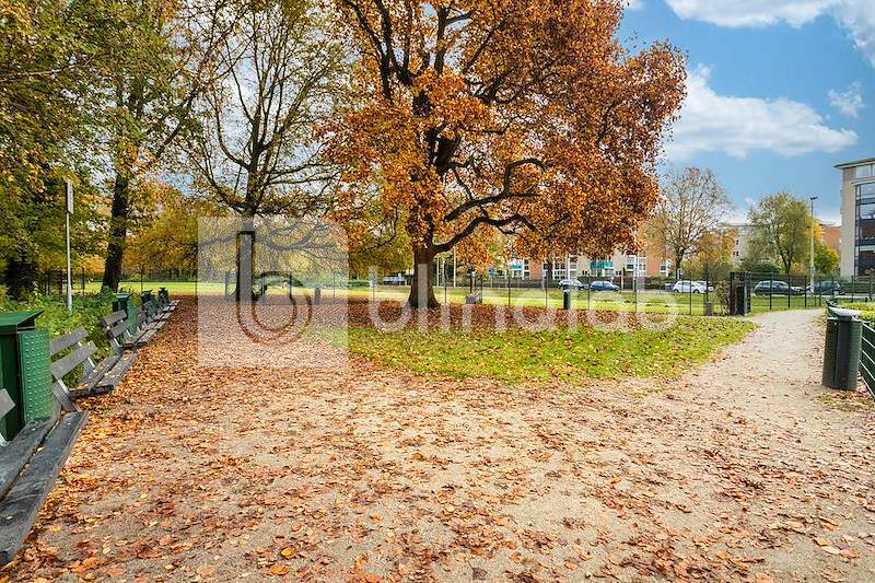 Park-1