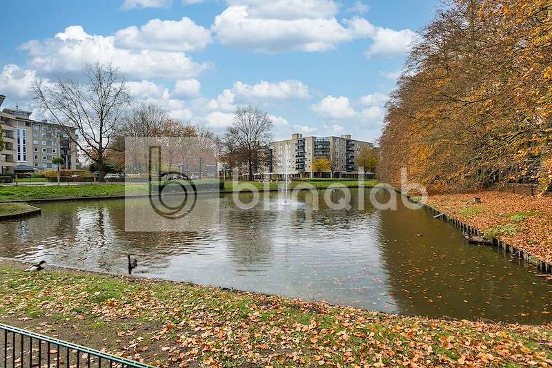 Park-2