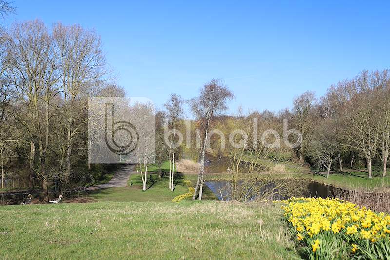 Park-Oosterhout-Alkmaar-11
