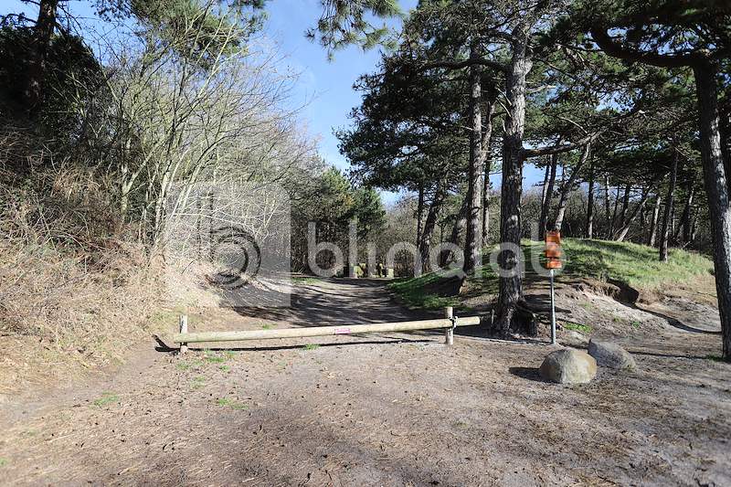 Pettemerduinen-Petten-aan-Zee-1