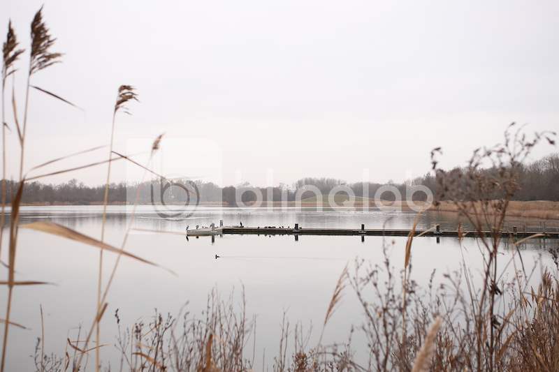 Recreatiegebied-Geestemerambacht-8
