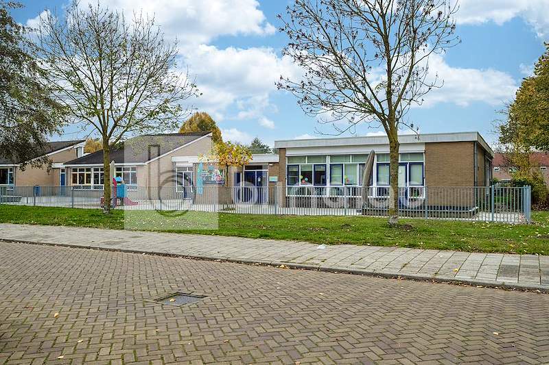 School-2