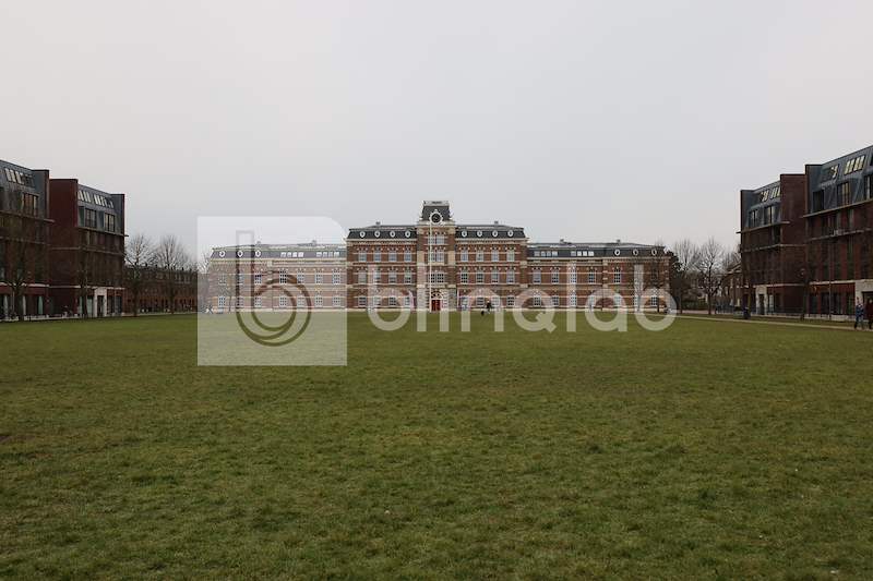 Sint-Jorisveld
