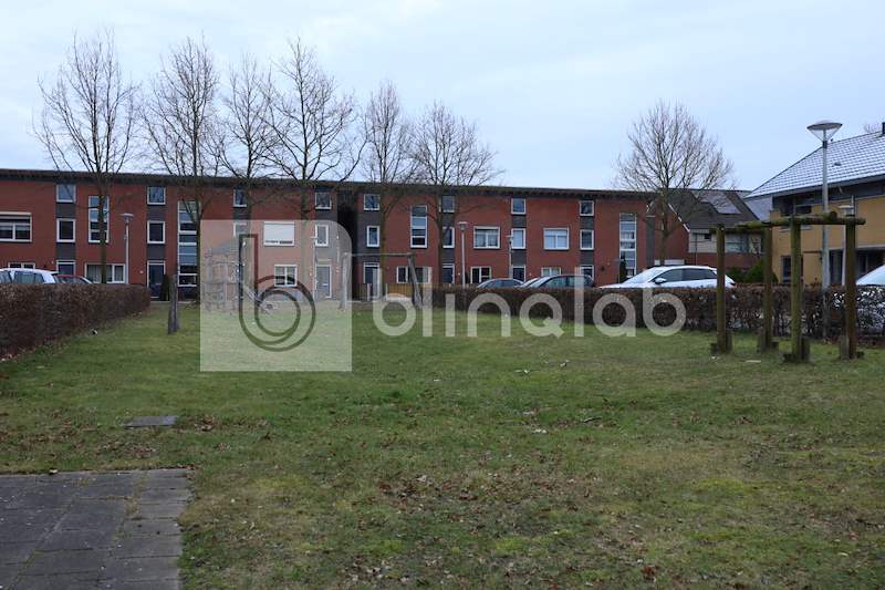 Speeltuin-Kolibrievlinder_1