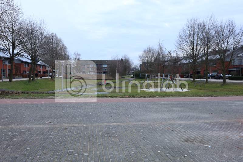 Speeltuin-Parelmoervlinder_1