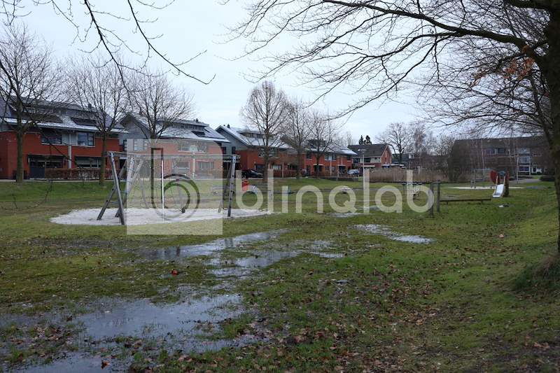 Speeltuin-Parelmoervlinder_2
