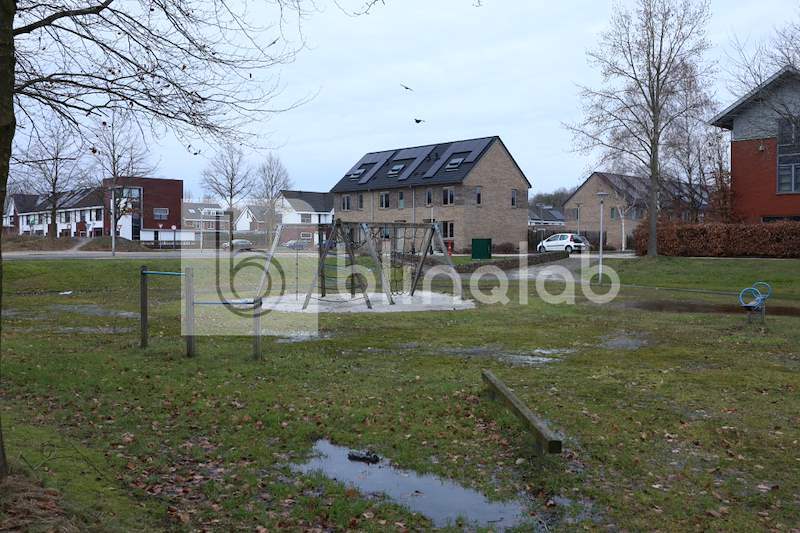 Speeltuin-Parelmoervlinder_3