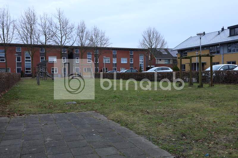 Speeltuin-kolibrievlinder_2
