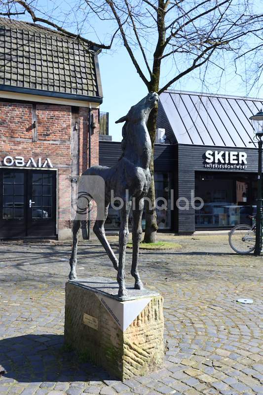 Standbeeld-veulen