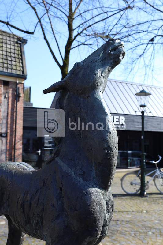 Standbeeld-veulen_2
