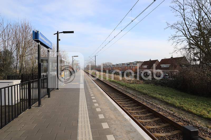 Station-bovenkarspel_flora
