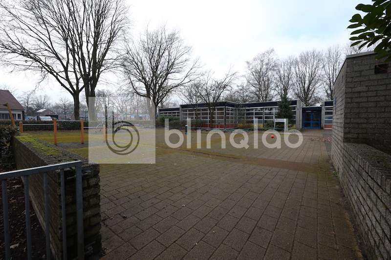 VSO-Elimschool