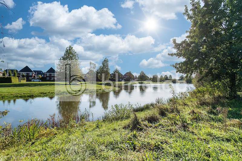 Vijver-Zuidbroek-2
