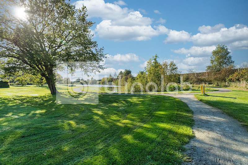 Vijver-Zuidbroek