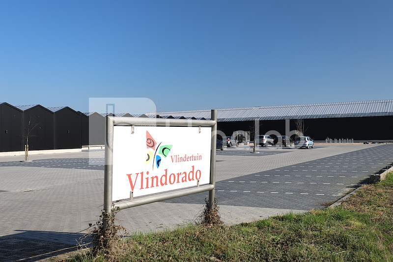 Vlindertuin-Vlindorado
