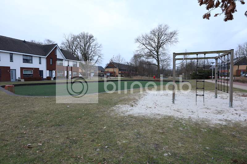 Voetbal-veldje-Heidevlinder_1