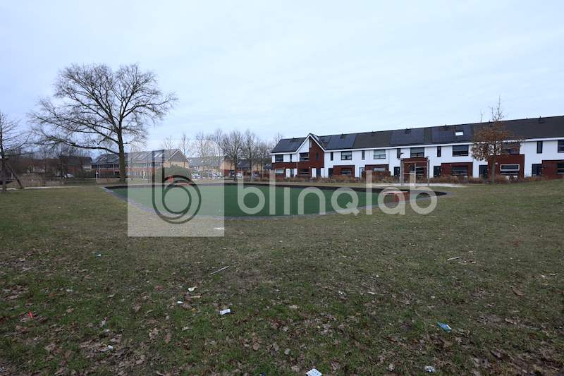 Voetbal-veldje-Heidevlinder_3