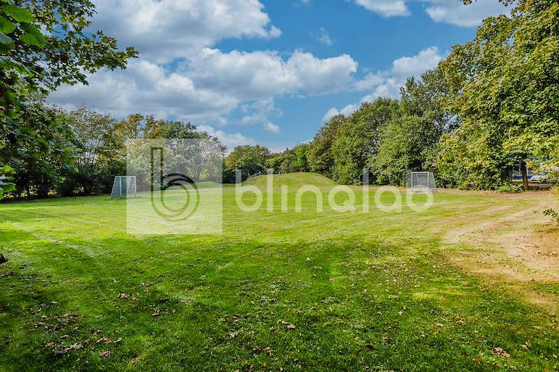 Voetbalveld-1-1