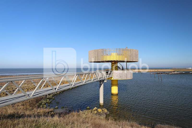 WaddenbelevingspuntDen-Oever-1