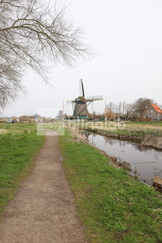 Wandelpad-met-Molen-Penningsveer-2