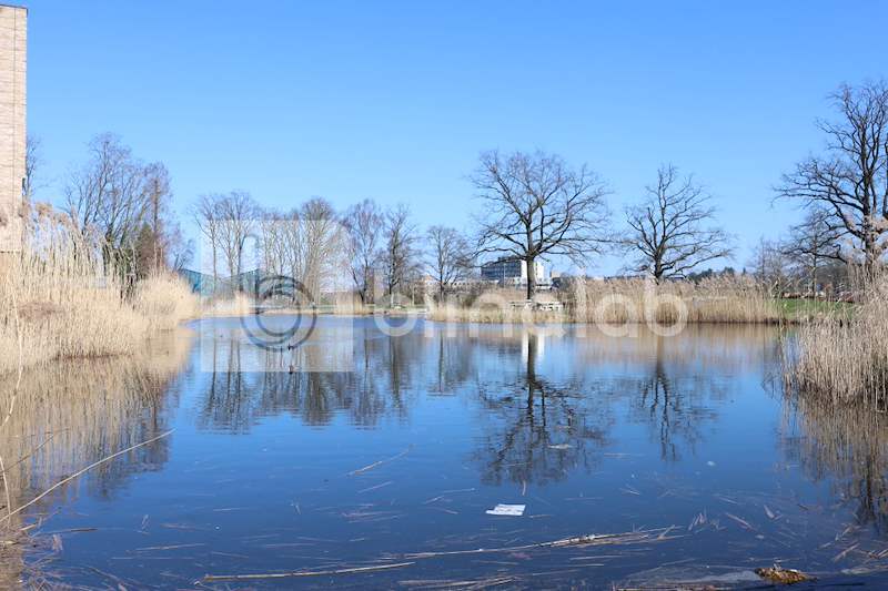 Watertorenvijver_2