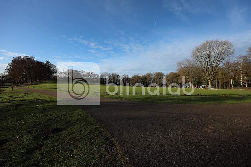 Wesselerbrinkpark_3