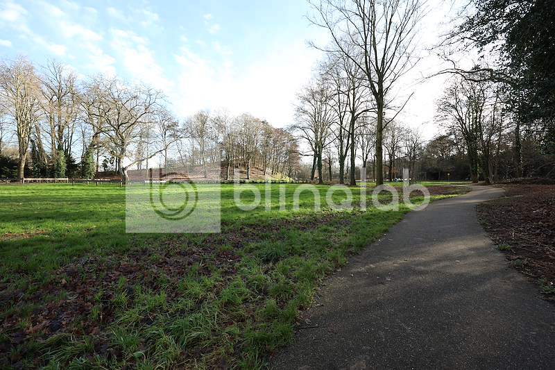 Wesselerbrinkpark_5