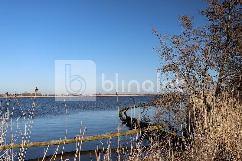 Zwaansmeer-Uitgeest-10