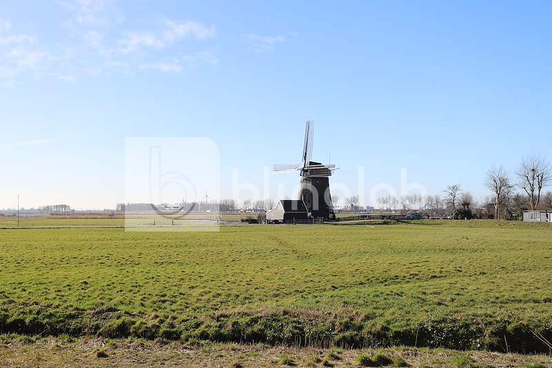 Zwaansmeer-Uitgeest-12