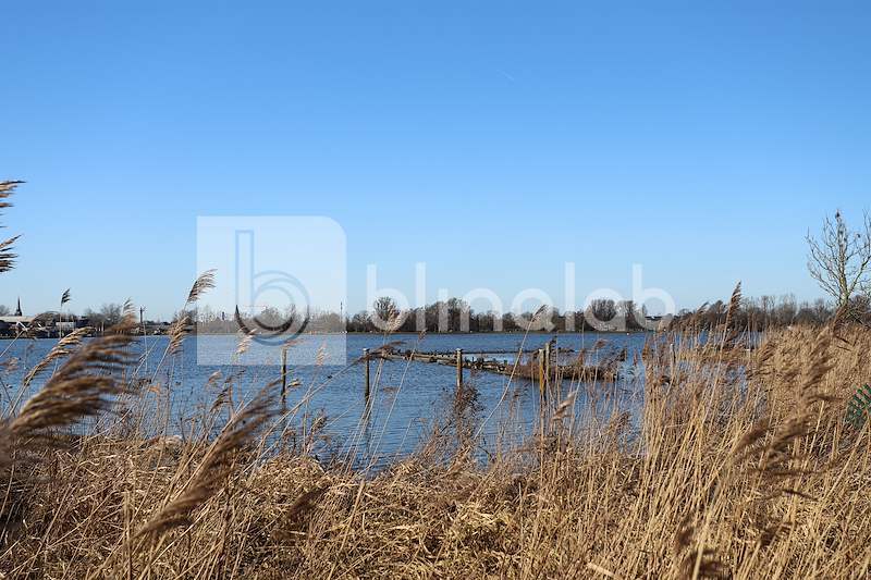 Zwaansmeer-Uitgeest-7