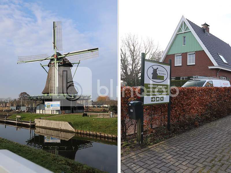 collage_molen