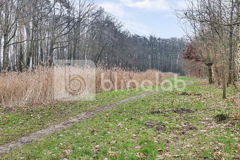 ecopark-de-Eschmarke
